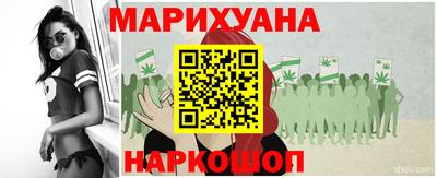 крисы Сланцы