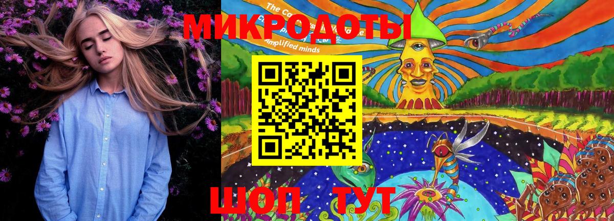 Галлюциногенные грибы MAGIC MUSHROOMS  Вход с VPN  Ачхой-Мартан 