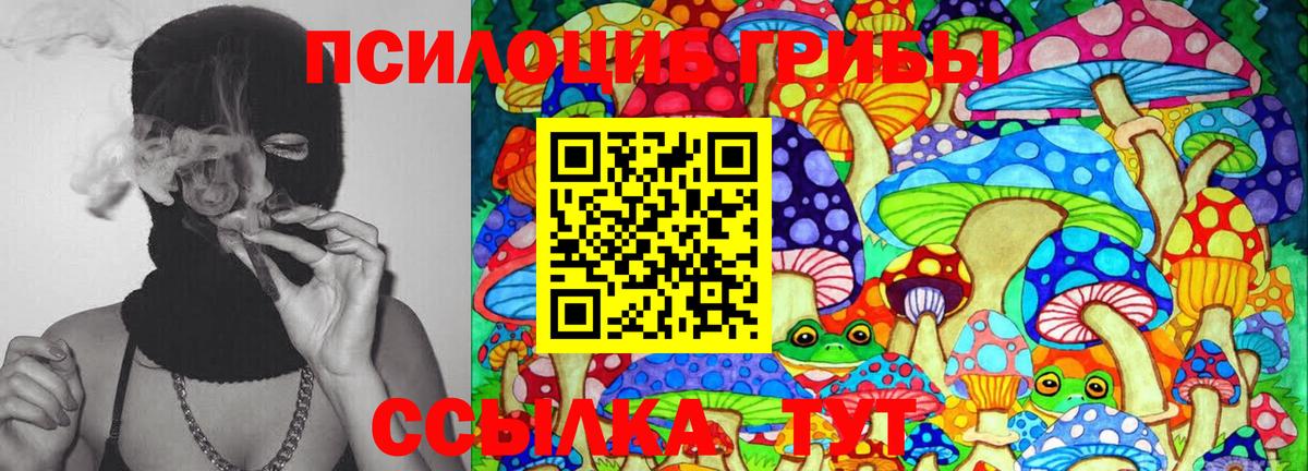 Галлюциногенные грибы мицелий Ачхой-Мартан